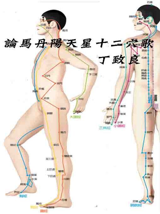 Cover image for 論馬丹陽天星十二穴歌